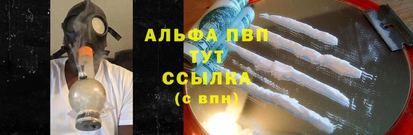 спиды Абаза