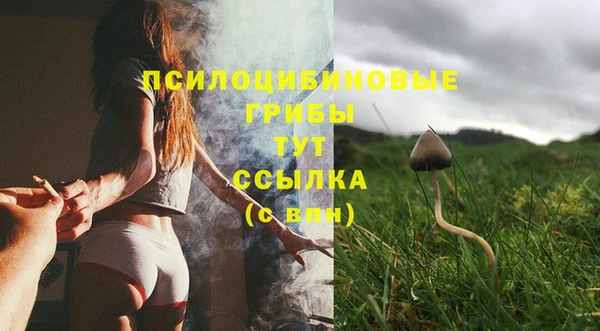 спиды Абинск