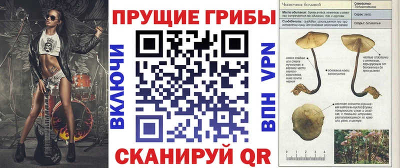 Псилоцибиновые грибы мухоморы  где купить наркотик  Никольск 