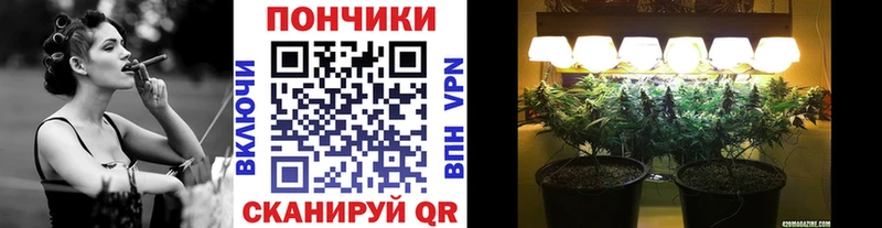 omg зеркало  Никольск  Конопля сатива 